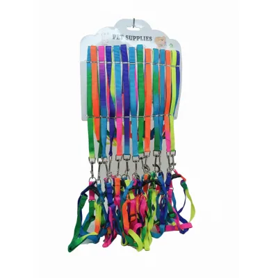 Pet Supplies Gökkuşağı Fosforlu Renk Gezdirme Tasma 12'li