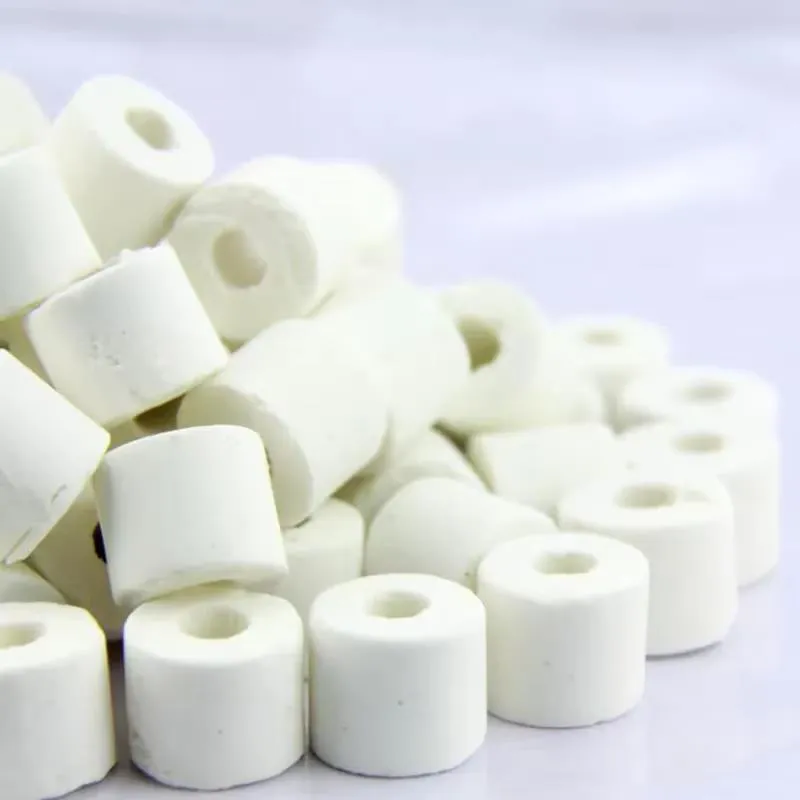 BİYOLOJİK SERAMİK 500 GR